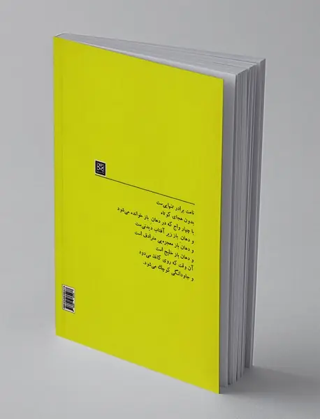 مثلث ها مونث اند