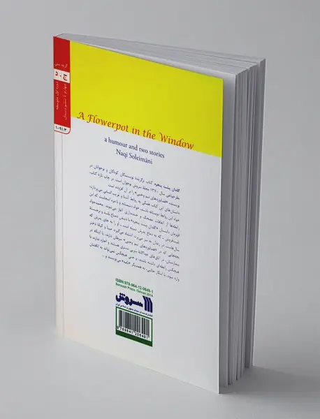 گلدان پشت پنجره