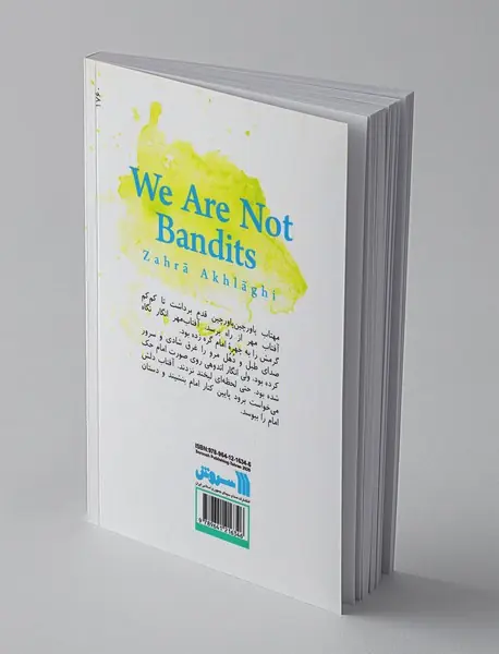 ما راهزن نیستیم