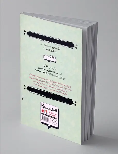 حال به هم زن ها،عنکبوت چطوری رفیق