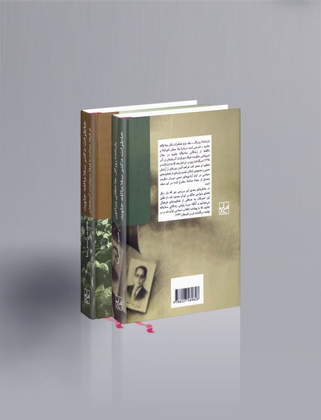 خاطرات دکتر سلام‌الله جاوید