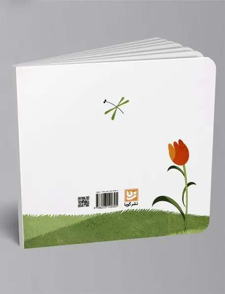 موش دم‌بریده