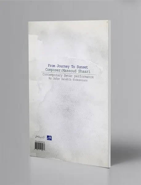 سه تار نوازی معاصر از سیر تا غروب