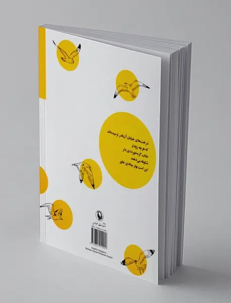 کمی خورشید لای در مانده