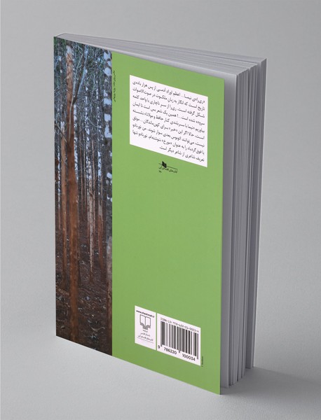 تورنادو... پیر می‌شود