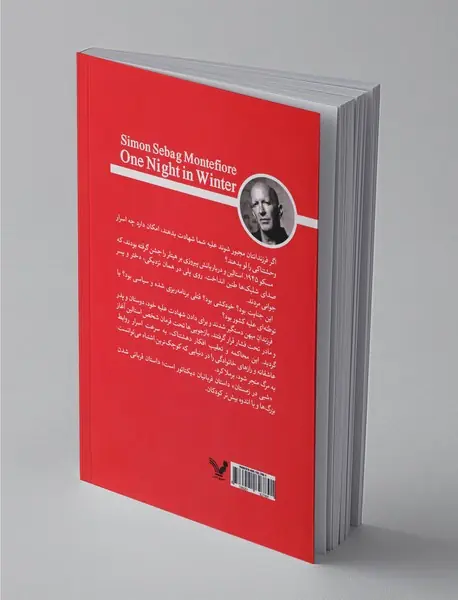 شبی در زمستان