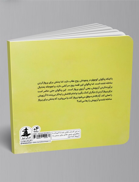 مدرسه‎ی پرواز