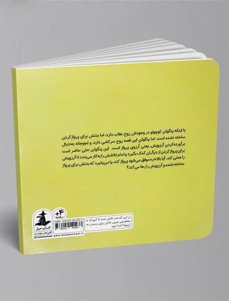 مدرسه‎ی پرواز