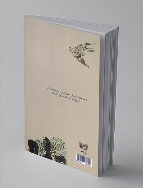 راه کوتاه، سفر طولانی