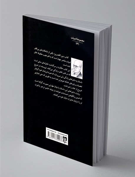 از قصر تا قصر