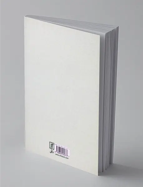 صور خیال در نظریه‌ی جرجانی