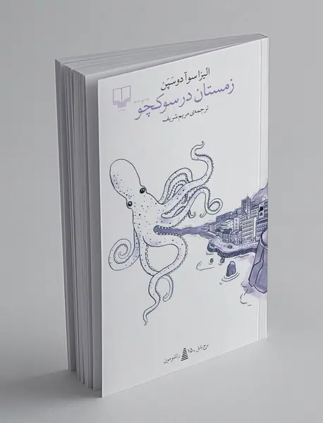 زمستان در سوکچو