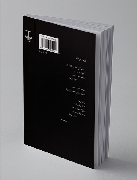 آینه در آینه