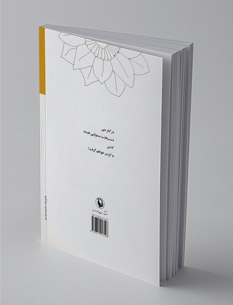 کار آینه است