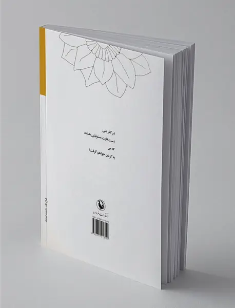 کار آینه است