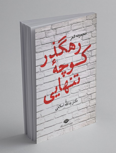 رهگذر کوچه‌ی تنهایی