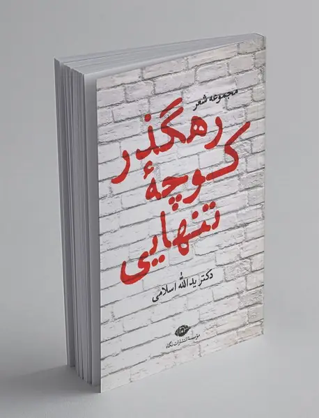 رهگذر کوچه‌ی تنهایی