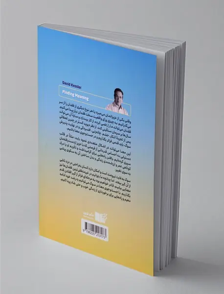 جست و جوی معنا