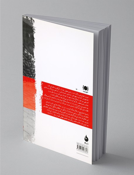 خاطرات یک ابله سیاسی