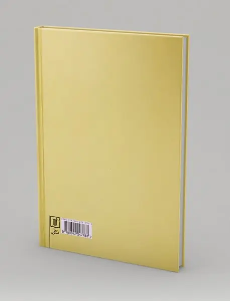 تاریخ زیباشناسی - جلد 2