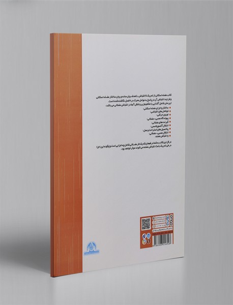 عضله اسکلتی تحریک تا انقباض