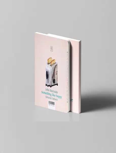 چیزی شبیه خوشبختی