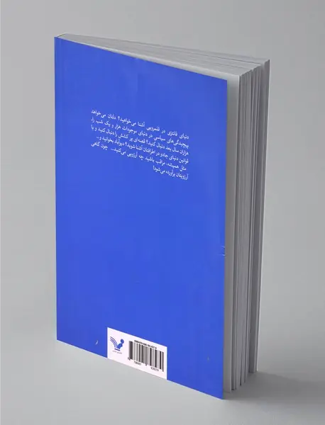 شهری از برنج