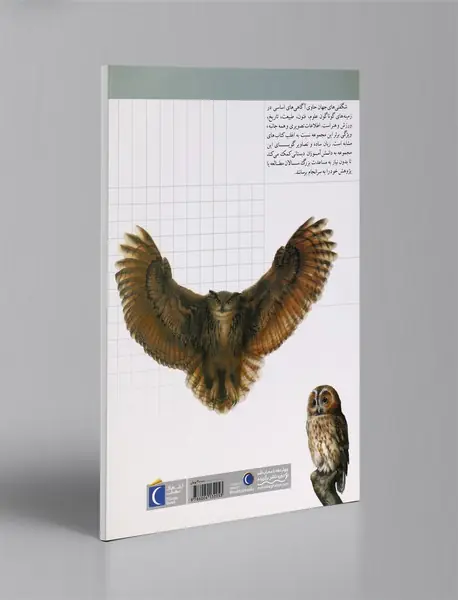 پرندگان شکاری