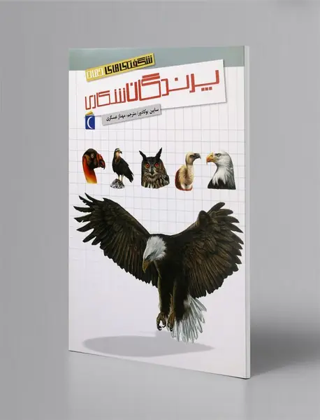 پرندگان شکاری