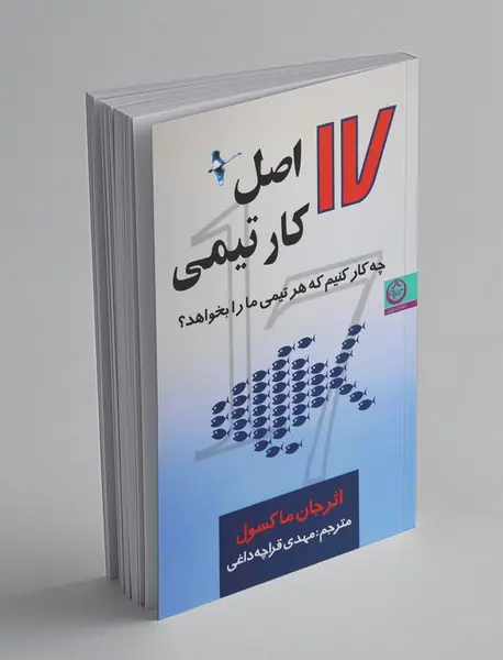 17 اصل کار تیمی