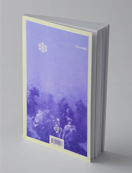 سقوط کابل - عملیات طوفان 333