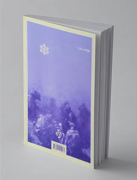 سقوط کابل - عملیات طوفان 333