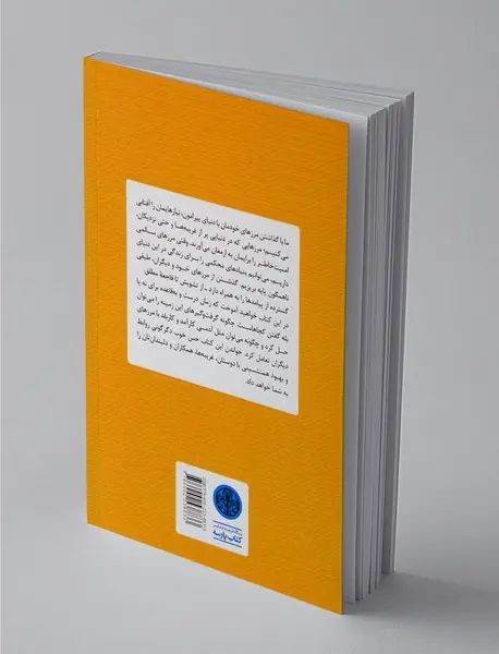 گندزدایی از مرز