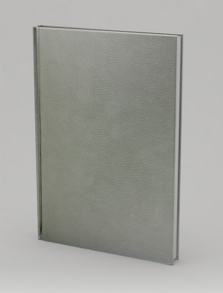 مثنوی مینوی