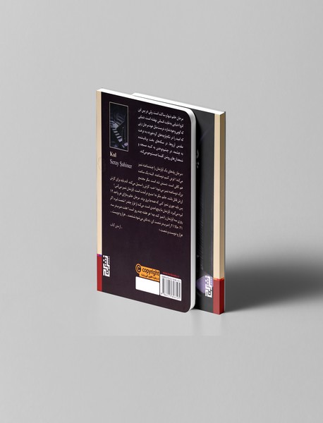 پله پله تنهایی