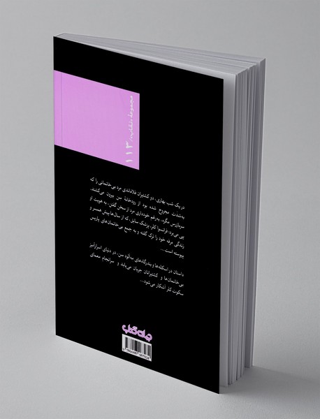 مگره و مرد بی‌خانمان