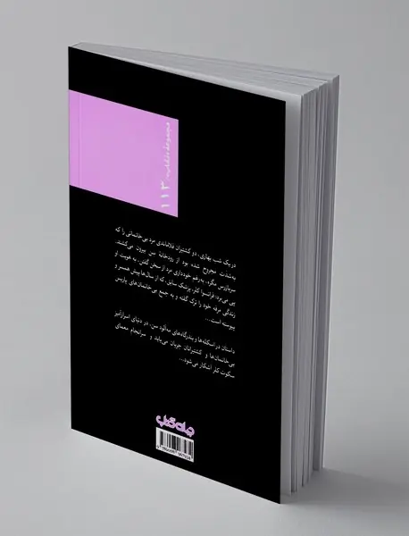 مگره و مرد بی‌خانمان