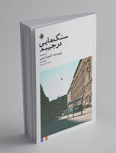 سنگ‌هایی در جیبم