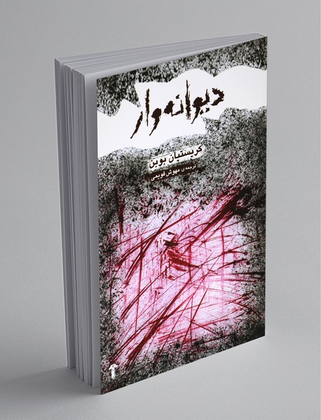 دیوانه‌وار