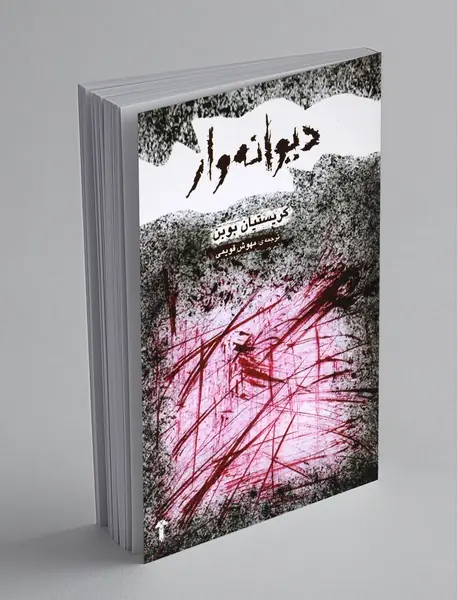 دیوانه‌وار