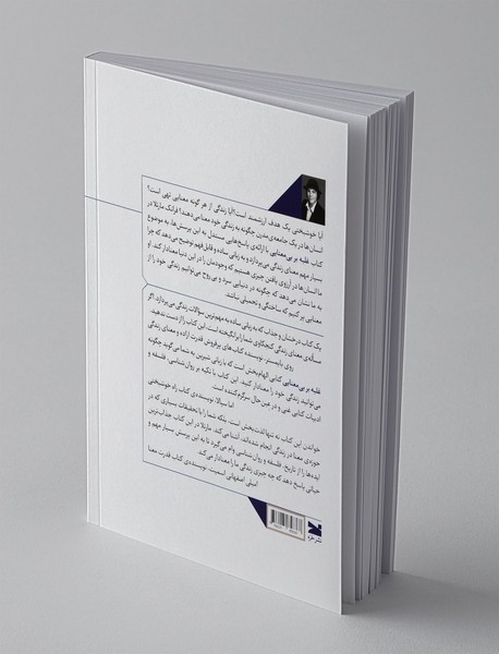 غلبه بر بی‌معنایی