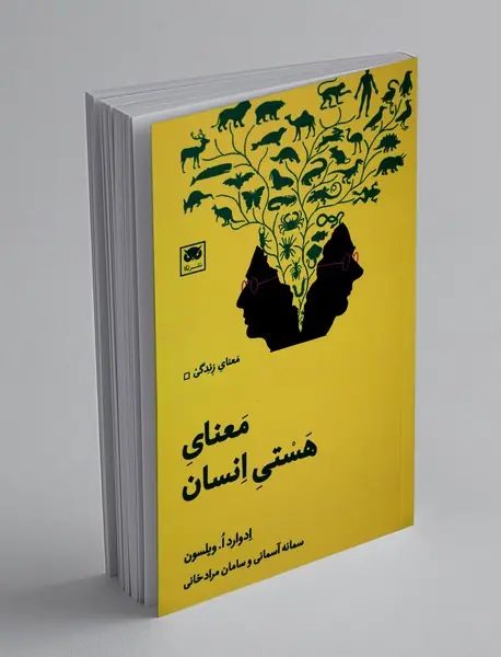 معنای هستی انسان