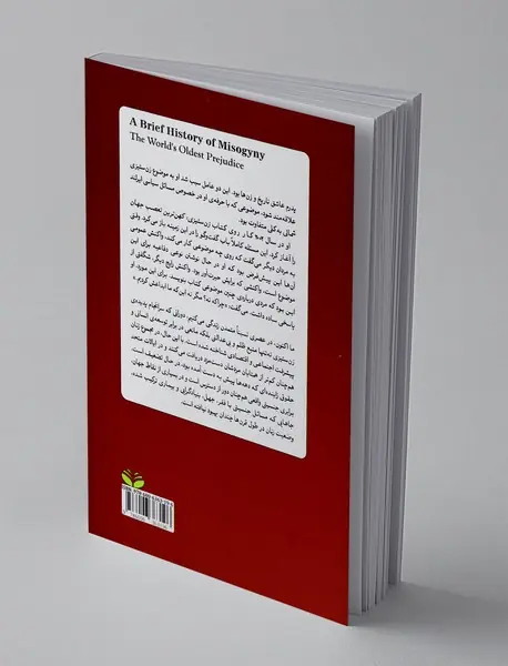 تاریخ مختصر زن ستیزی