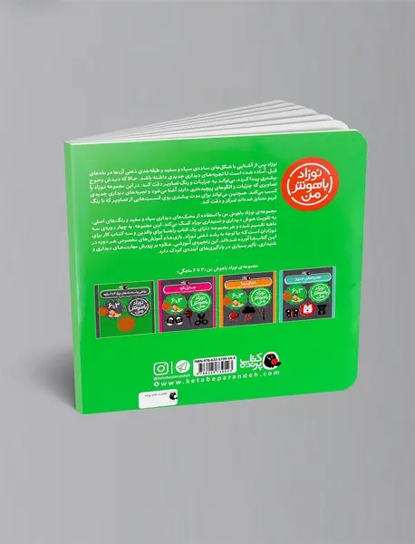 مجموعه نوزاد باهوش من - مهارت های یادگیری نوزاد 3 تا 6 ماهه