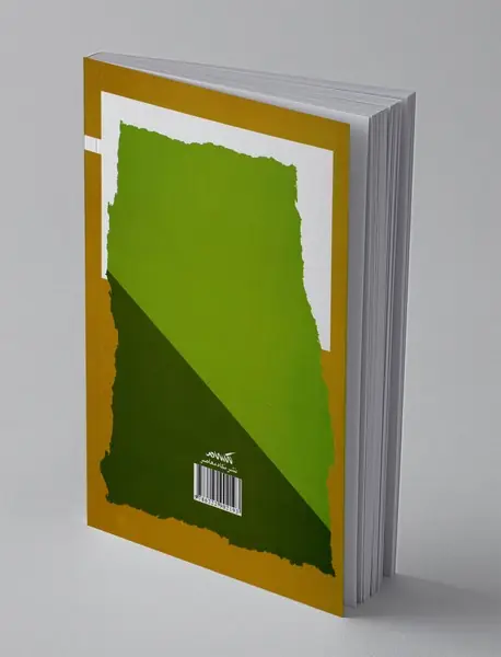 اسلام قاره سیاه