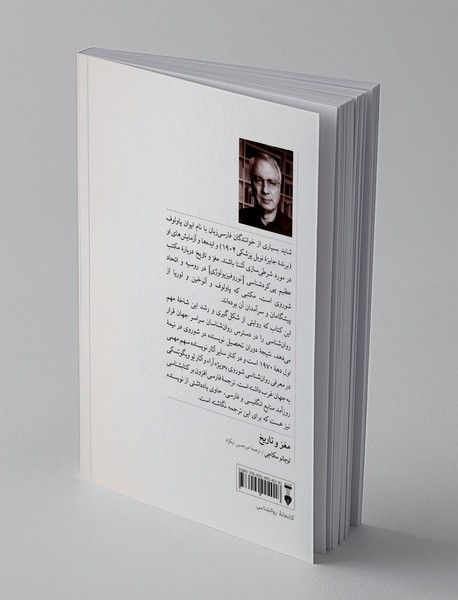 مغز و تاریخ