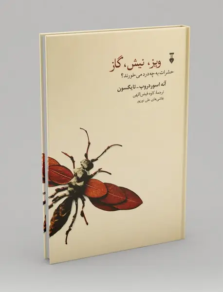 ویز، نیش، گاز