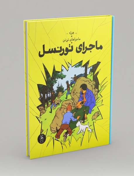 ماجرای تورنسل ماجرای تورنسل