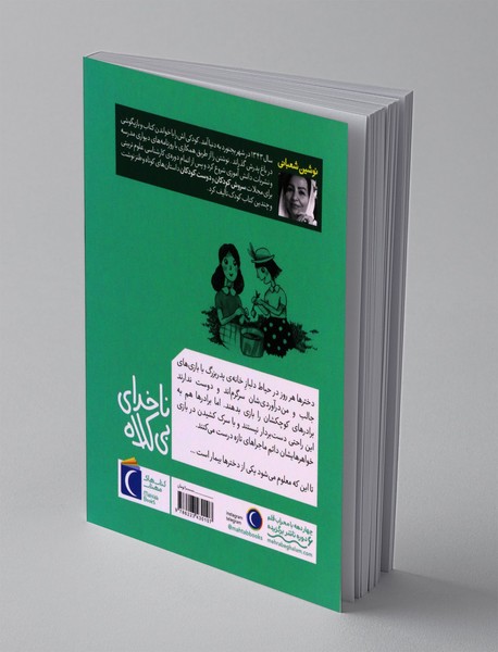 ناخدای بی کلاه