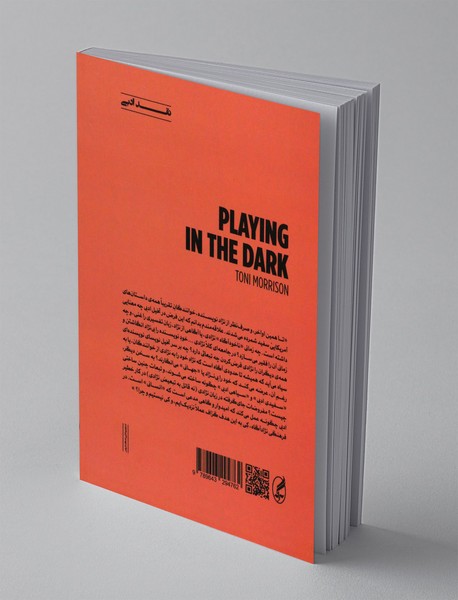 نواختن در تاریکی